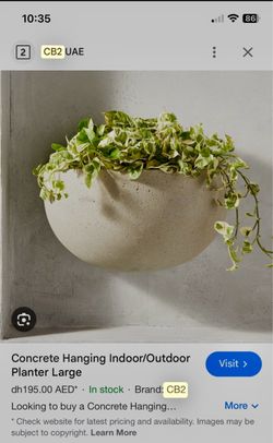 CB2/Crate and Barrel - Concrete Hanging Planters (4)