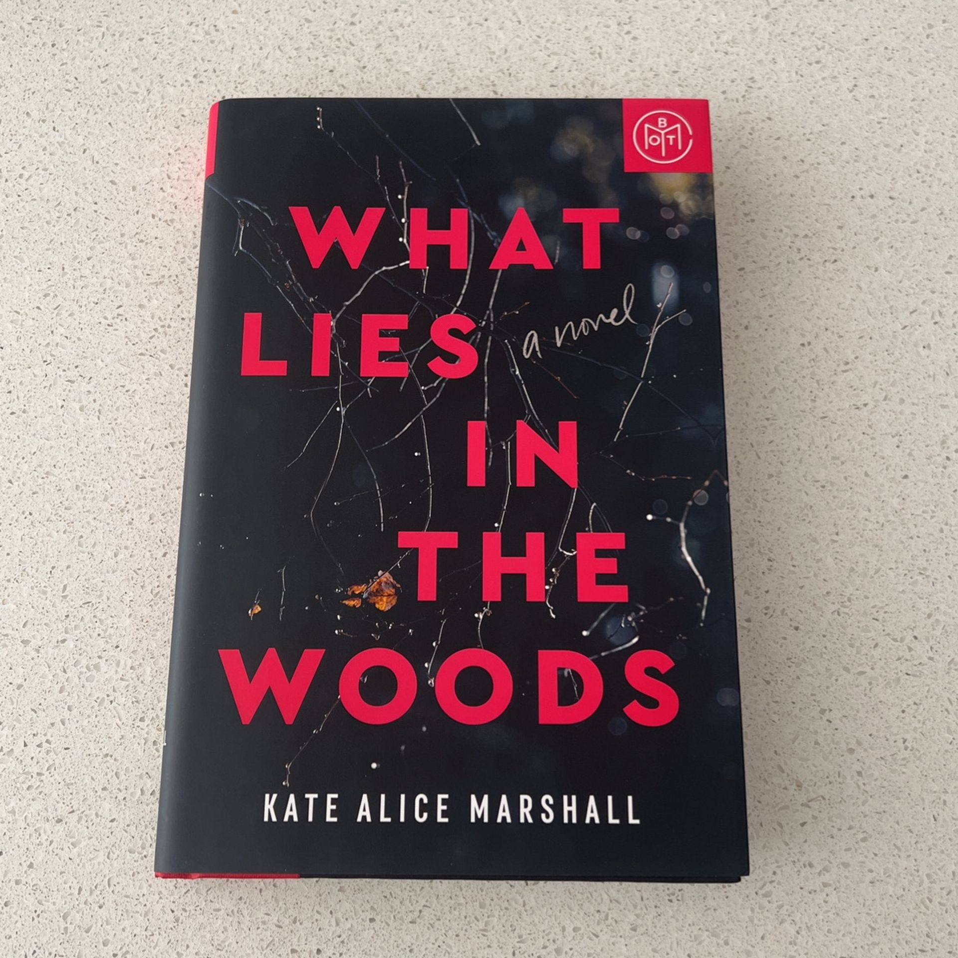 What Lies In The Woods By Kate Marshall - Novel Book
