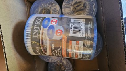 Intex PureSpa Filter Cartridge S1 Twin Pack