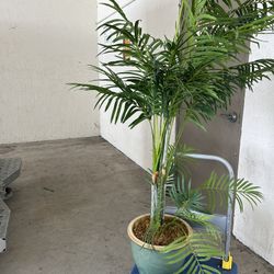Fake Palm Tree Plant 6ft