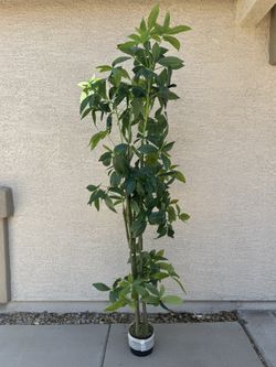 Artificial Tree. 6 Feet Tall. Like New