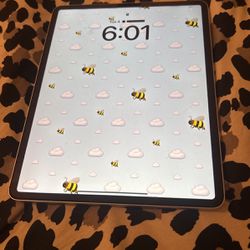 iPad Pro 4th gen 12.9 Inch