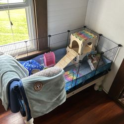 Guinea Pig Cage Package