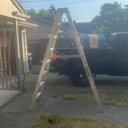 Louisville Ladder 