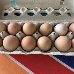 Farmstead Fresh Eggs