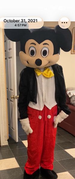 Mickey costume