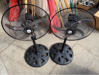 Fan