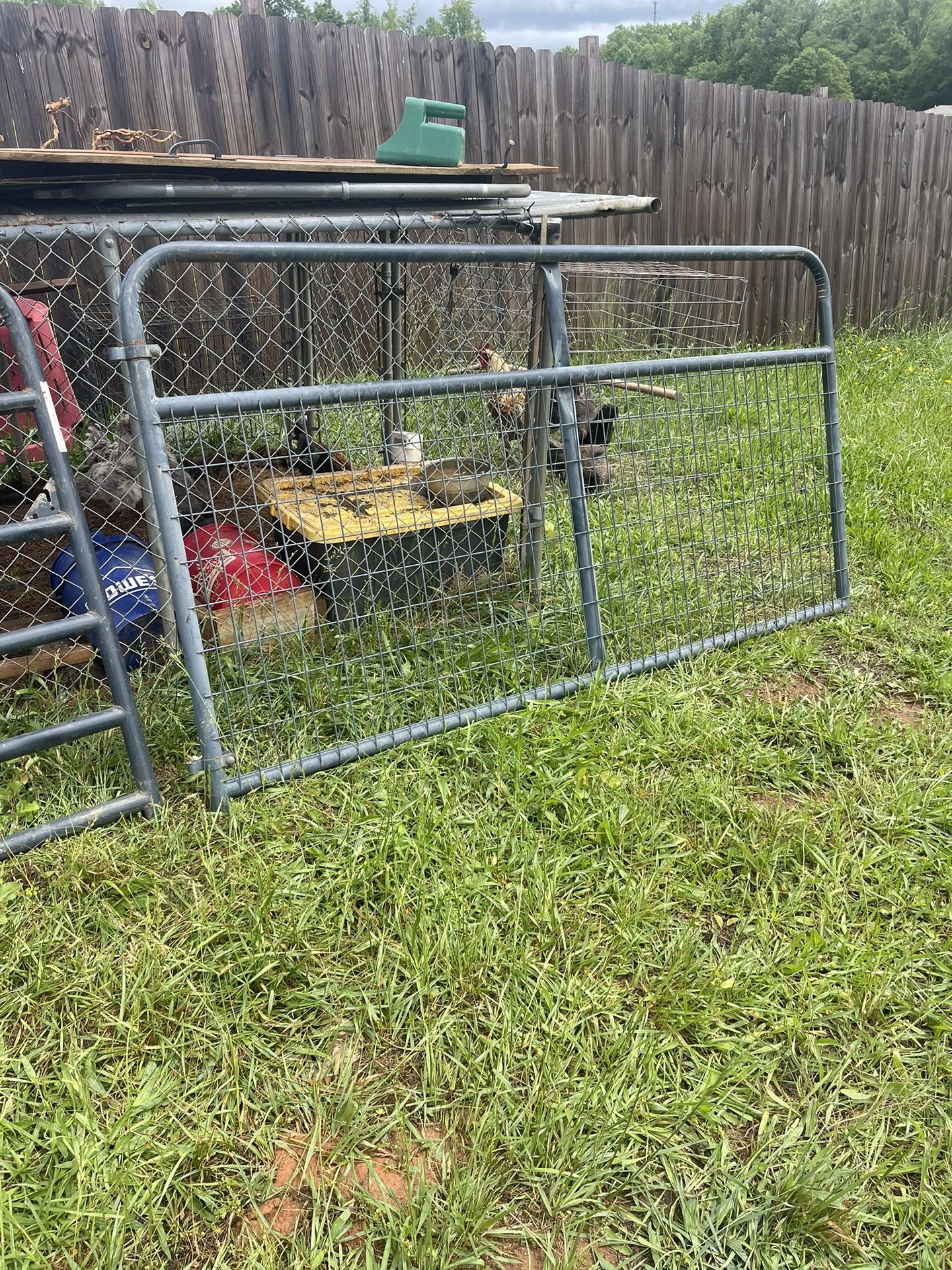 8ft Farm Gate