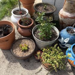 Pots Different Prices