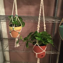 selling macrame with hanging plant
