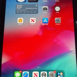 iPad Mini 4