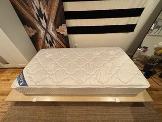 Twin Mattress Like New (Today Only)