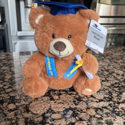 Brand new graduation  9” bear plush class of 2024