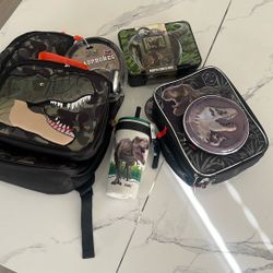 Jurassic World Backpack and Lunch essentials 