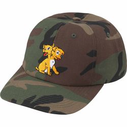 Supreme Melvins 6-Panel for Sale in Chicago, IL - OfferUp