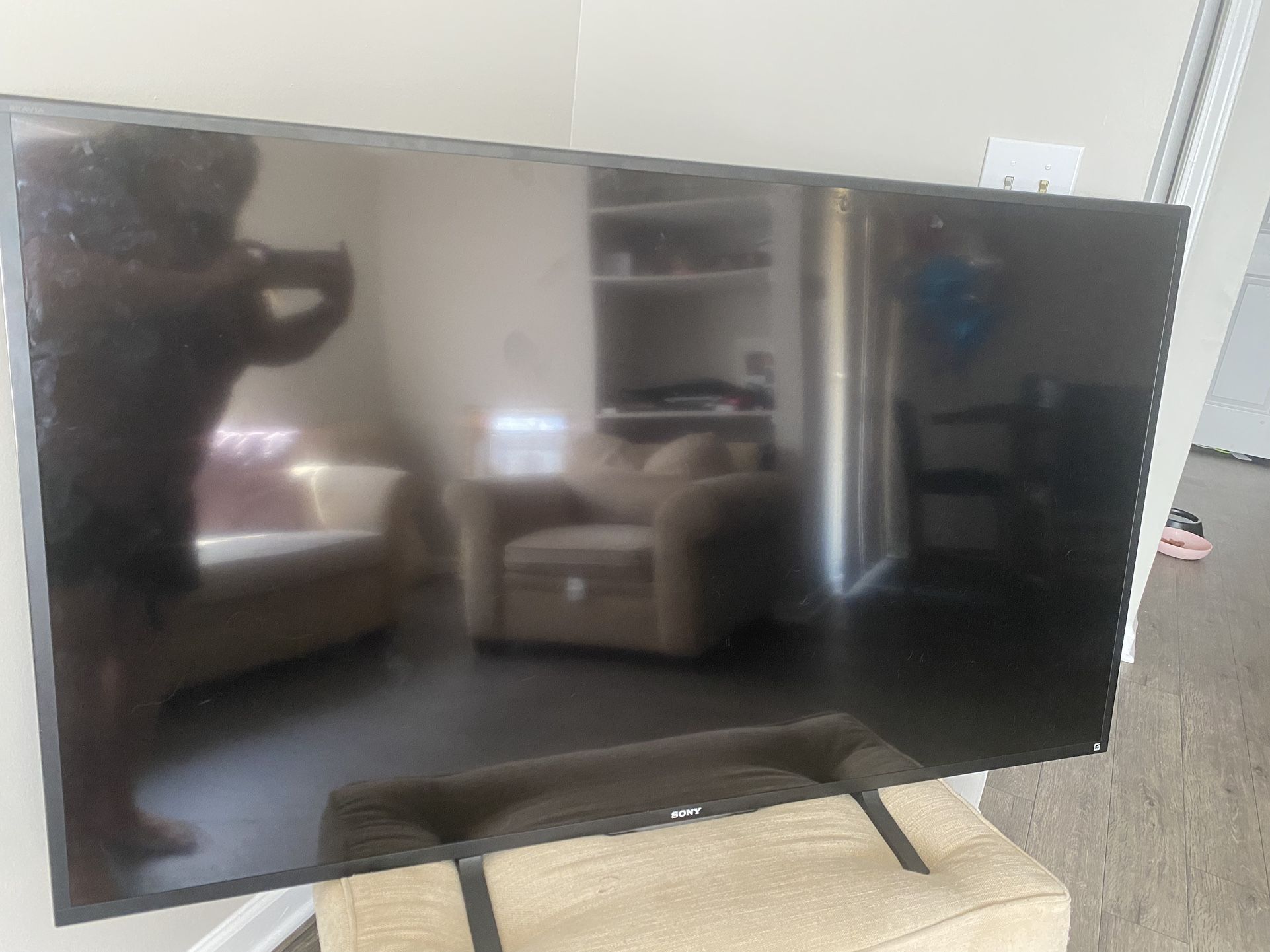 65" Sony TV