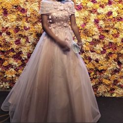 Rose-Gold, Cinderella style dress 