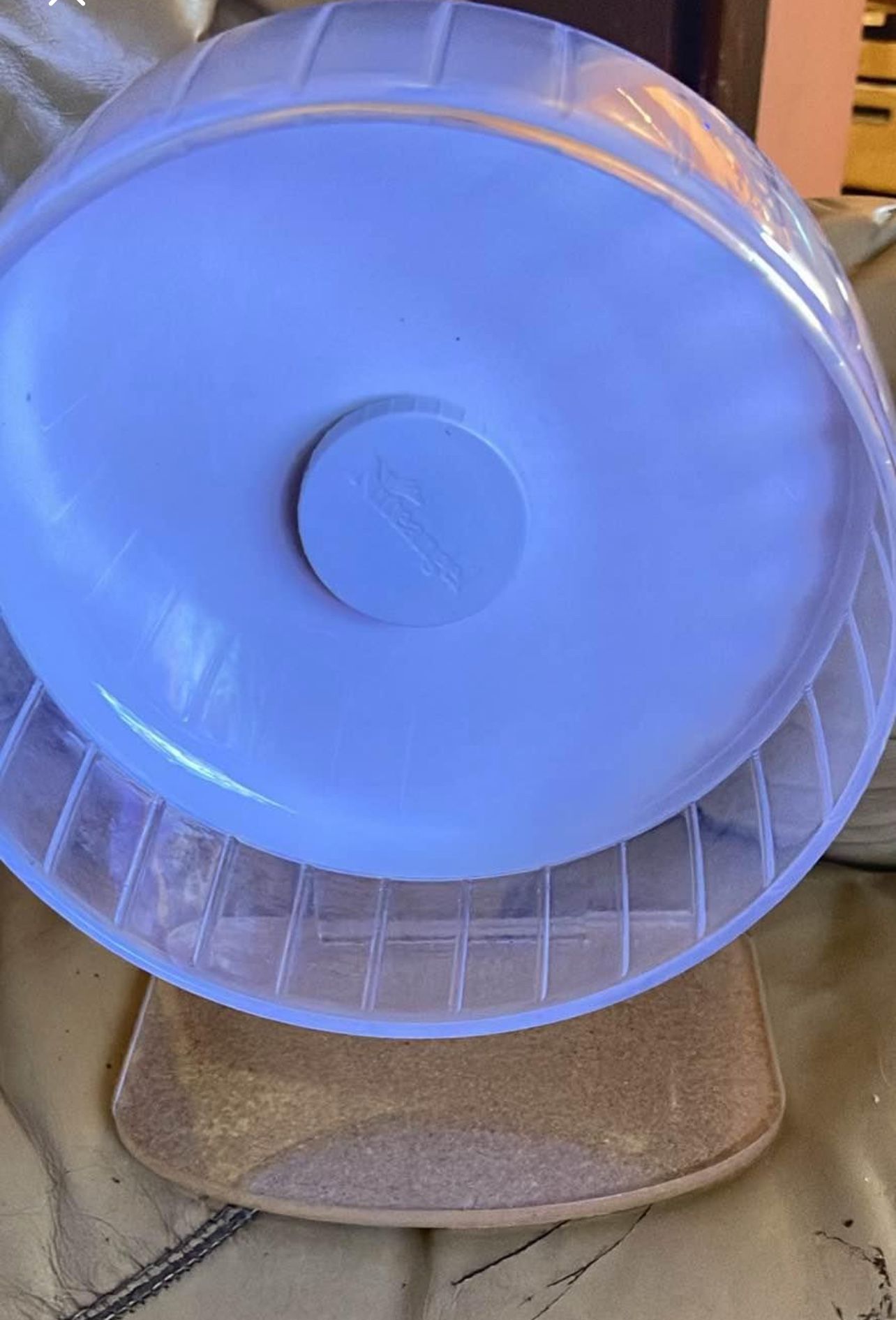 White Hamster Wheel
