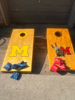 Cornhole Wood Bag Set Michigan