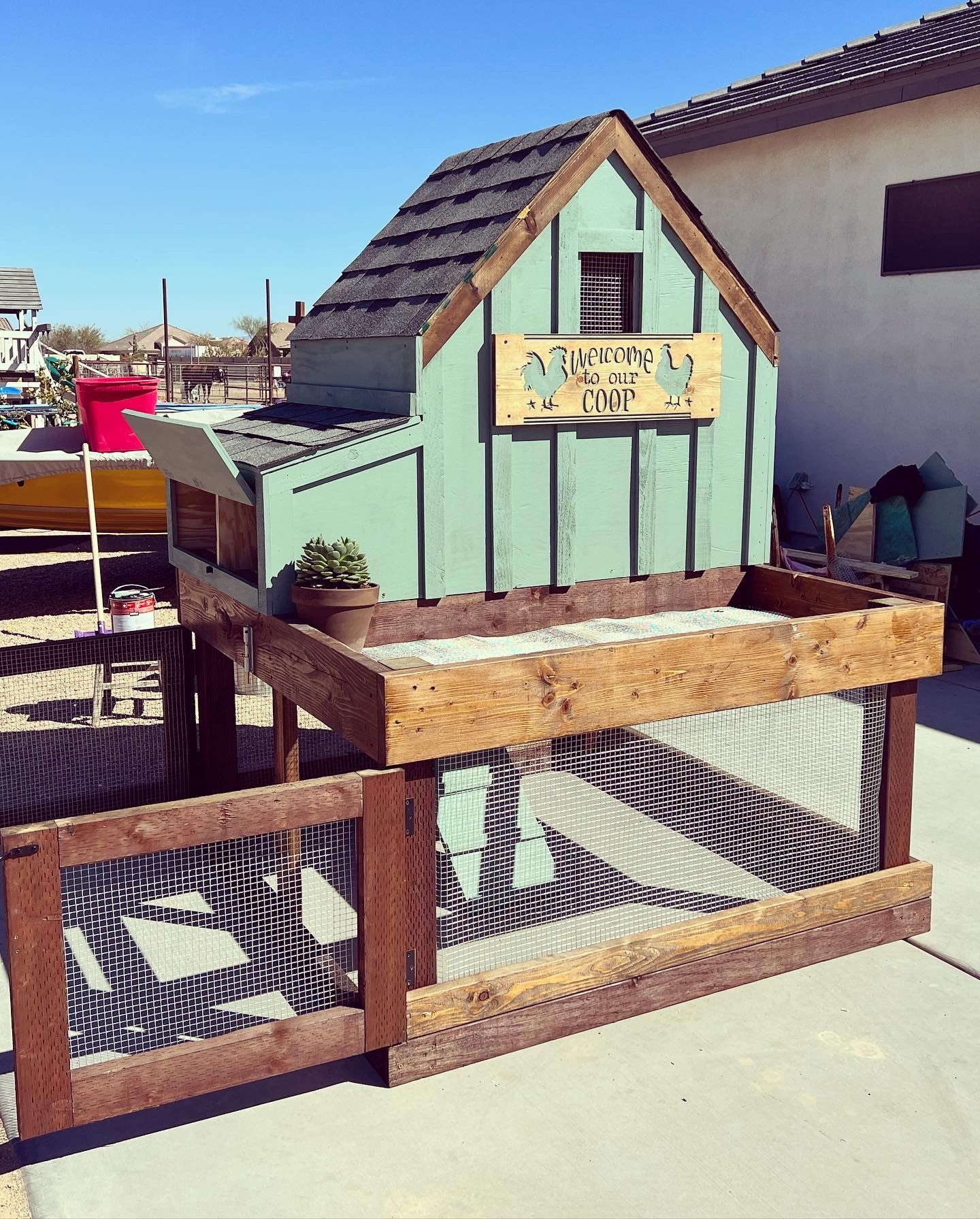 Urban Chicken Coop