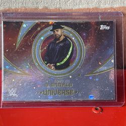 WWE Topps Universe Tony D'Angelo