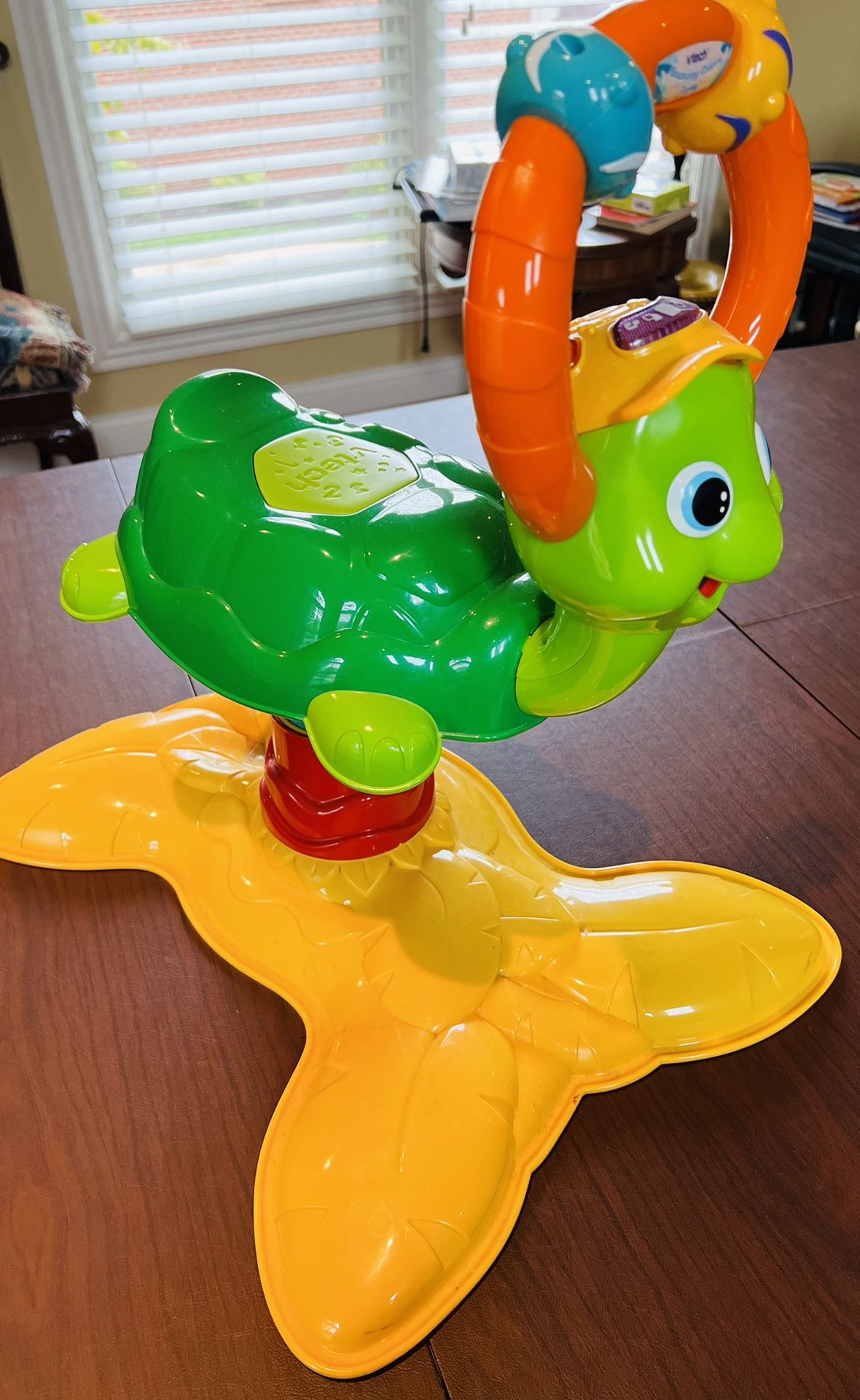 Turtle Toy