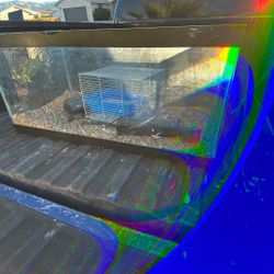 55 Gal Fish Tank