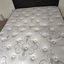 Queen Bed Frame With Mattress 
