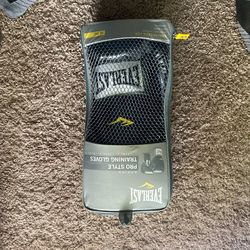 Everlast Boxing Gloves