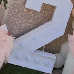 4 Ft. Marquee Light Up Number 2
