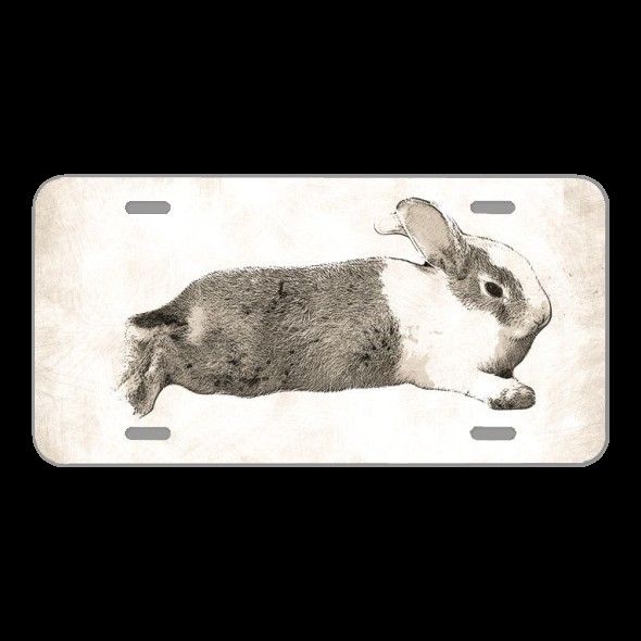 License Plate Novelty Car Front Bunny Rabbit Mammal Rodent Hare