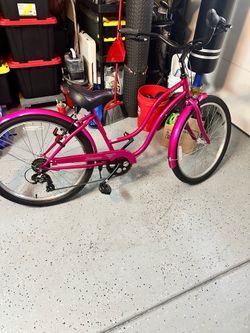 Schwinn cruiser