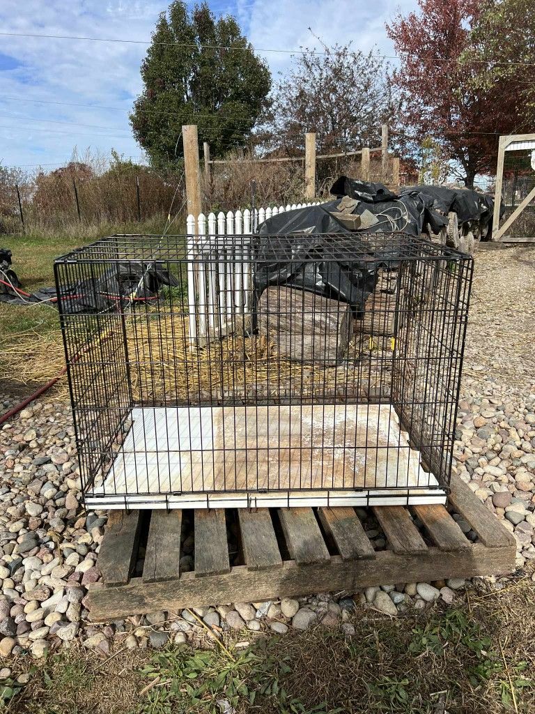 Dog Cage