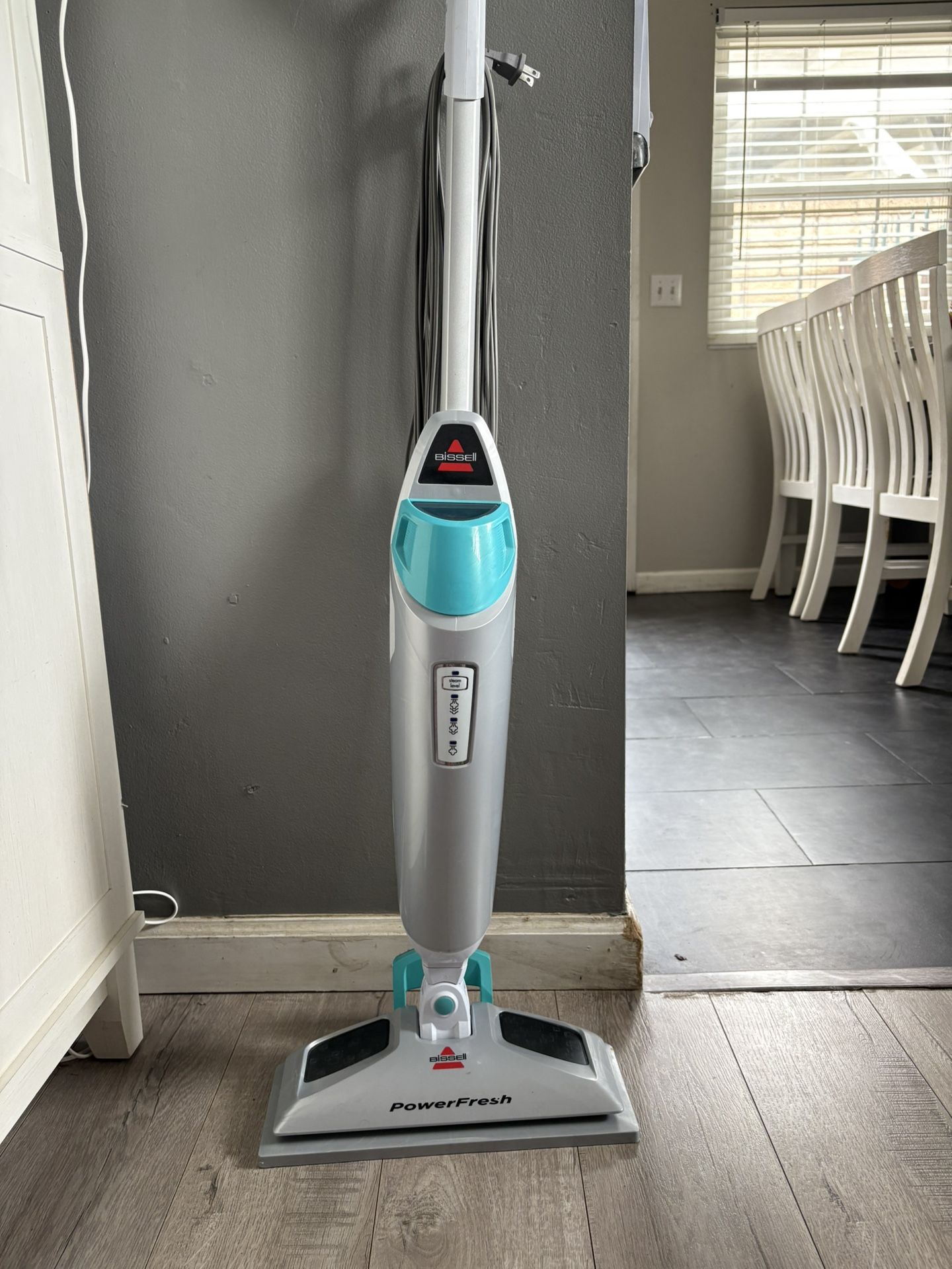 BISSELL PowerFresh + 2 Mop Pads