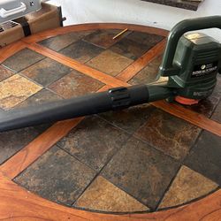 Black & DECKER super Vac N Mulch Leaf Blower Vortex Vaccuum System Model BV500 With Carpet Cleaner 