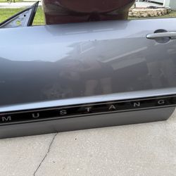Mustang Driver Door
