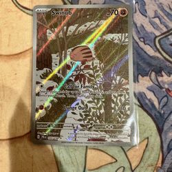 Swinub Pokemon Journey Together