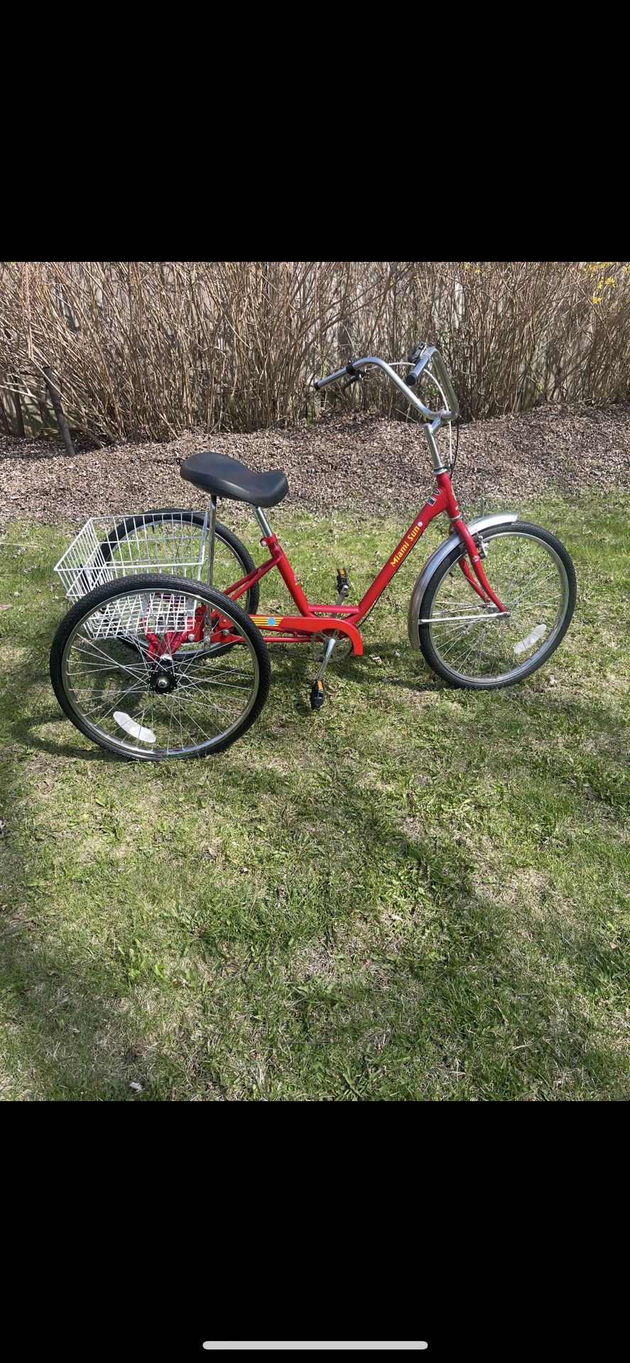 Adult bike