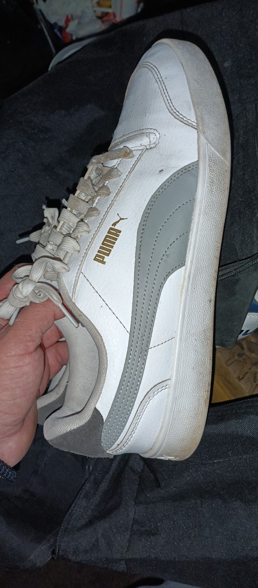 Size 12 Puma Shoe