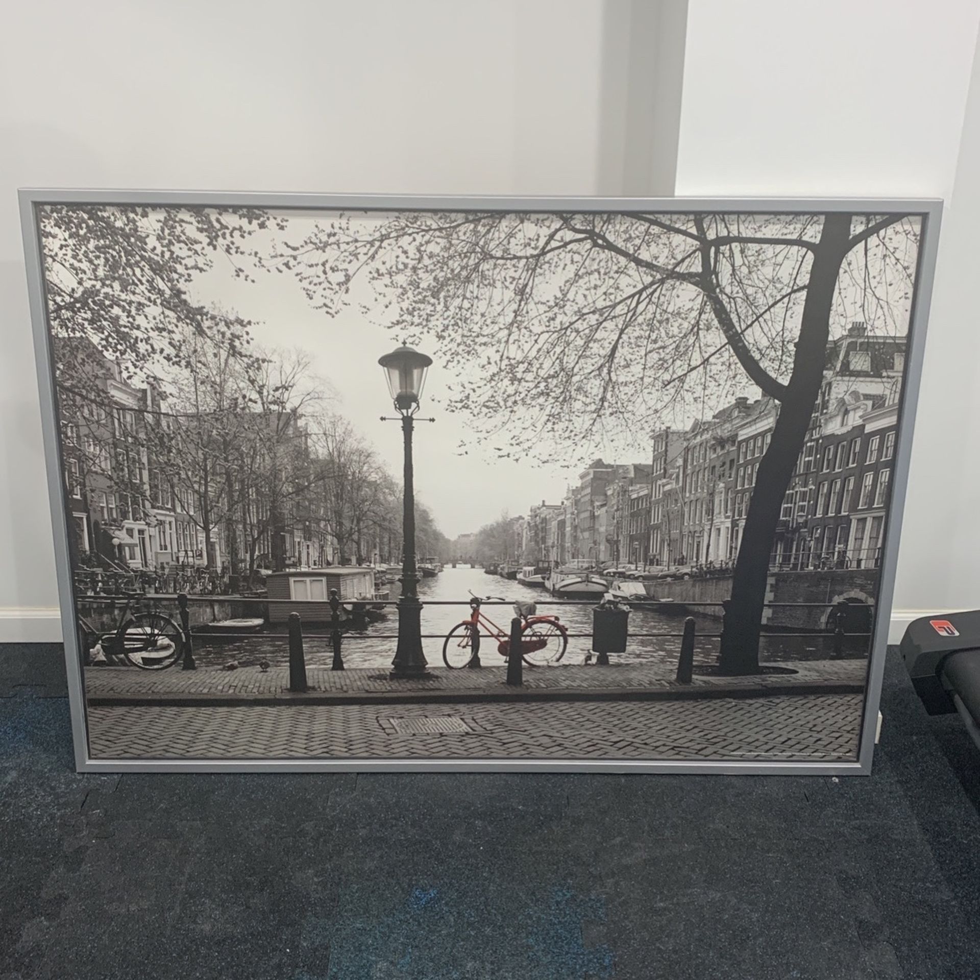 Huge Framed Photograph By Fernando Benoechea
