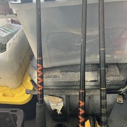 Two bottom fishing rods with reels and two bait sticks