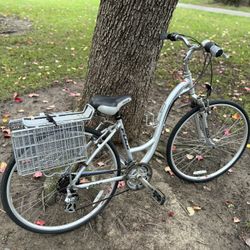 Fuji Crosstown LS 2.0 