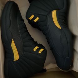 Jordan 12 Size 11