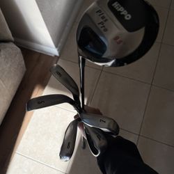 Callaway Big Berthas Light Flex