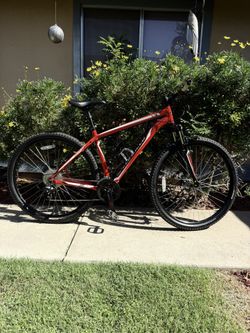 SPECIALIZED 29” Mountain Bike