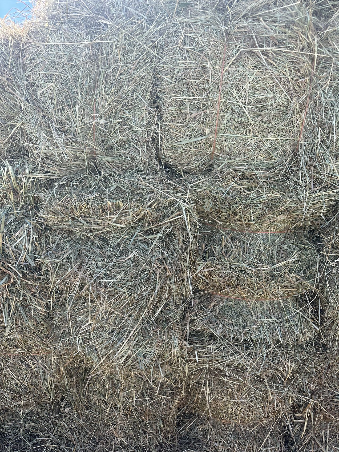 2023 Hay Delivered