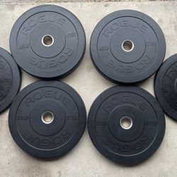 Rogue Mil Spec Echo Olympic Bumper Plates Set (160 lbs)