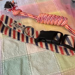 Medium Dog Collar 