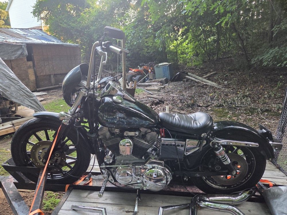 97 Hd Sportster 883 1200