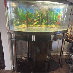 Approx 90 gal Fish Tank